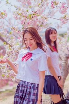 明星专题：桑迪·亚历山大